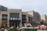 江苏盐城一房产项目未开建先“吸金”被查处