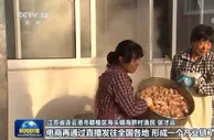 发展特色产业 激发振兴活力