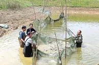 “红土地”兴产业富村民 湘赣边革命老区焕新颜