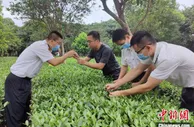 “民营经济大市”泉州上半年民企进出口增幅近九成
