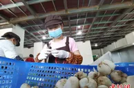 兰州推进“牛肉面”商标申请 品牌发展成增收实惠
