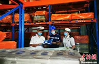 “分类监管”成效显著 天津港东疆物流迈向更高水平一体化
