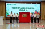 第一届广东预制菜研发大赛在肇庆高要举办