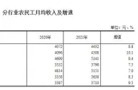 国家统计局：外出农民工月均收入5013元