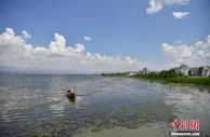 洱海保护“三区”划定：一级保护区禁建与洱海保护无关建筑