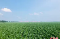 颠覆传统的吉林黑土地保护：少一分耕耘 多一分收获