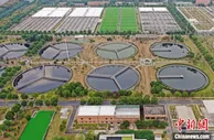 助力“双碳”目标  常州污水处理穿“绿衣”喝“啤酒”