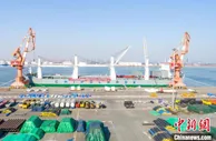 世界载重吨位最大多用途重吊船在天津港首航