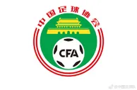 亚洲杯原本在中国举办&造了10座专业球场，最终足协主动提出放弃
