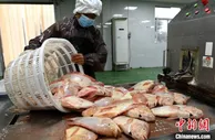 专心养殖“一条鱼” 革命老区村村民“年年有余”