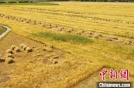 西藏2021城乡居民收入增速居全国首位 城乡收入差距持续缩小