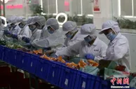 柳州螺蛳粉飘香海外 一季度出口货值同比增347.6%
