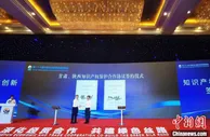 专家学者探畅通知识产权全链条 科技创新激发市场活力