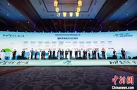 48个项目落户中国（山东）自由贸易试验区青岛片区 总投资503亿元