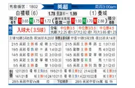 [英超] 布莱顿 VS 曼彻斯特城