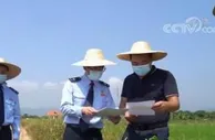 广东惠州：减税降费惠“三农” 乡村振兴迎丰收
