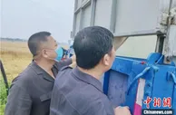 天津法院10余小时执行拍卖160余亩小麦