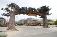 甘肃省张掖市临泽县倪家营镇南台村：“三治融合”为文明乡村建设塑形铸魂