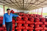 吉林“三辣之乡”哈拉海：“种”出新产业“辣”出致富路