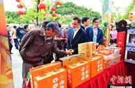 湖北打造“柑橘矩阵”助力疫后农业经济发展
