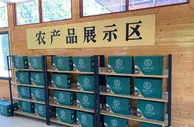 海南侨乡文昌：手机为新农具，直播成新农活