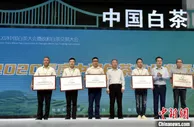 首届中国白茶大会暨政和白茶交易大会在福建政和举行