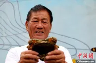 探访福州琅岐红蟳的“优质”密码