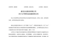 鼎龙文化发布公告：公司副总经理代行财务总监职责