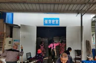 湖南粮食生猪产业发展“疫”路前行