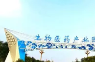 江苏睢宁“区街合一”拧成一股绳 激发农业重大产业发展新动能