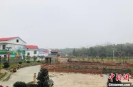 经济观察：中国乡村振兴如何“破局”？
