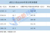 A股五大险企2020年日赚6.89亿 净利增速均未转正