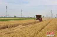 农业农村部：提升早稻机械化收获质量 夯实粮食增产基础