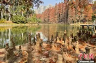探访集多功能于一身的华南植物园