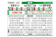 意甲 都灵vs萨索洛