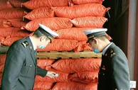 前11个月北京地区进出口2.77万亿元 同比增长30.3%