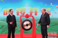 中国百年红茶“坦洋工夫”发祥地福建福安举办开茶节