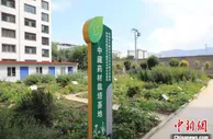 青海省青藏高原中藏药材科研科普基地通过考核