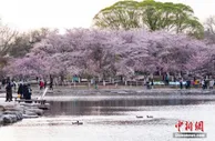 清明假期7541.9万人次出游，有一项数据创新高
