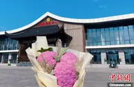 浙江未来乡村试点村：千顷良田绘制七彩画卷
