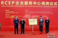 广西成立RCEP企业服务中心 打造RCEP企业进入中国窗口