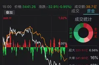 两市冲高回落沪指跌0.95% 金融、白酒股纷纷下挫