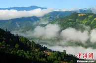 陇南渐破“难弄事”：由“靠山吃山”到“5G+智慧林业”