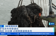 紧急提醒！多地已发布预警！最近这两种海鲜千万不要吃
