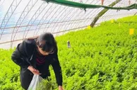 长春“五一”旅游“成绩单”亮眼 乡村生态游受青睐