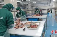 农行西藏分行推出“牦牛产业贷” 助力西藏畜牧业发展