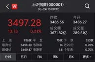 A股震荡上扬沪指涨0.31%：白酒股活跃 券商股走强