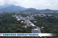 广东搭建市场体系 助推特色农产品优质优价