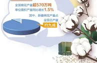 棉花量稳质升 主产区3000多万亩棉花已被陆续收购