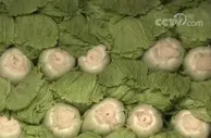“菜篮子”保供稳价 | 北京：免除4个批发市场进场交易费 增加蔬菜供应